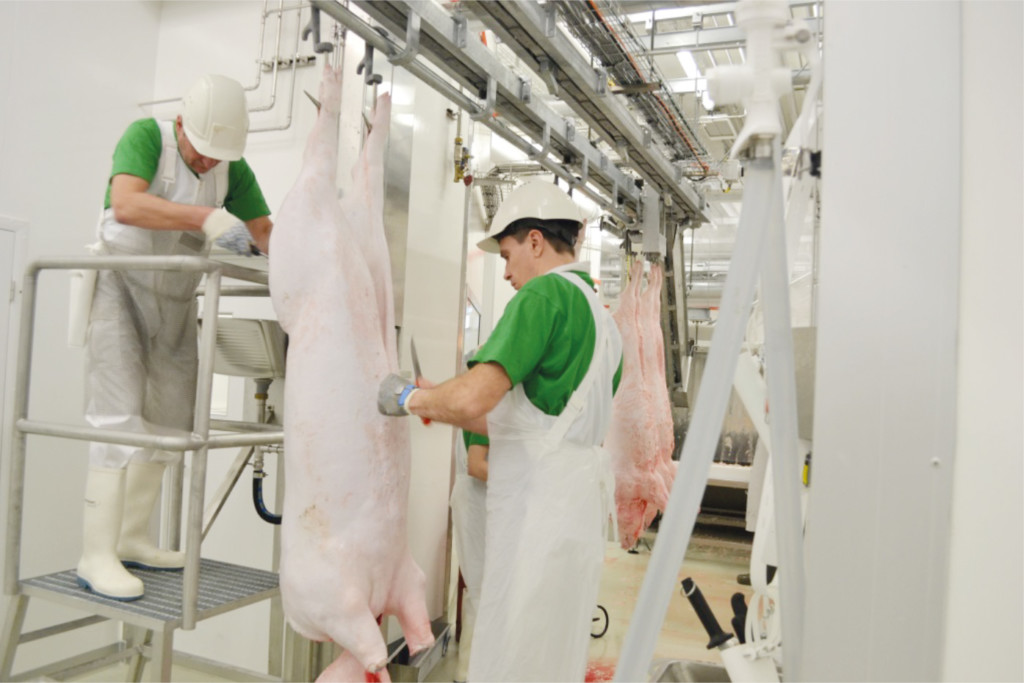 Kometos pig slaughterhouse in operation
